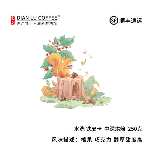 云南滇潞铁毕卡手冲精品咖啡豆