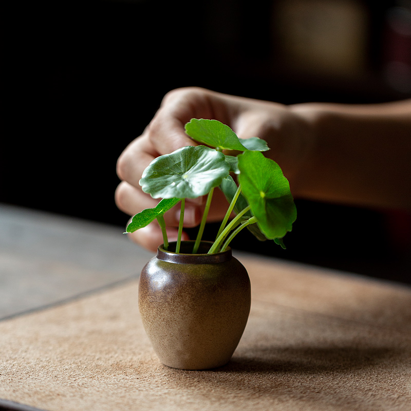 柴棕釉迷你小缸花瓶仿古水培植物花盆铜钱草绿萝容器客厅花插