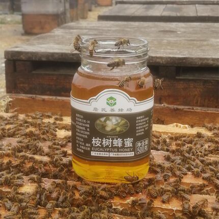 桉树蜂蜜农家自产结晶纯正真蜜天然詹氏糖