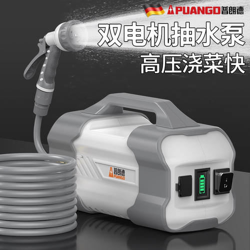 双电机大流量充电式浇菜水泵农用