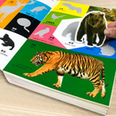 动物认知贴纸游戏2 5岁儿童中英双语早教趣味启蒙贴纸书鸟类昆虫海洋野生动物反复粘贴全脑开发卡通玩具