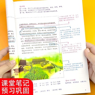 教材提前预习知识归纳总结详解注释彩图注音版 小学生语文课堂笔记三年级上下册尖子生随堂培优同步人教版