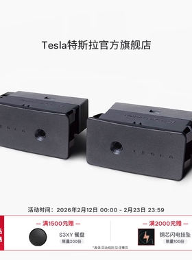 特斯拉（Tesla）官方Model 3 性能版迎宾灯(一对）