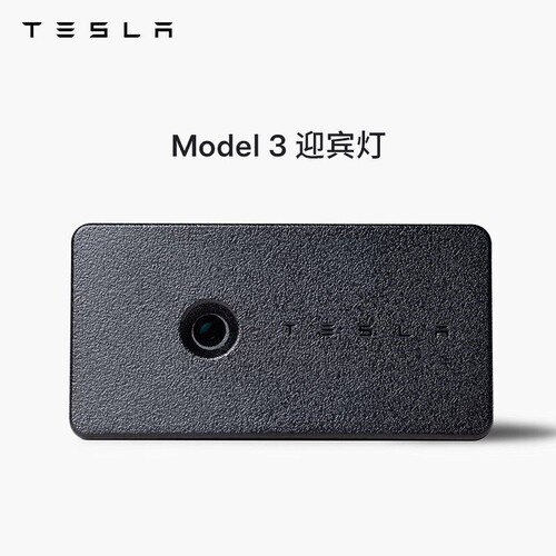 新版迎宾灯Tesla/特斯拉