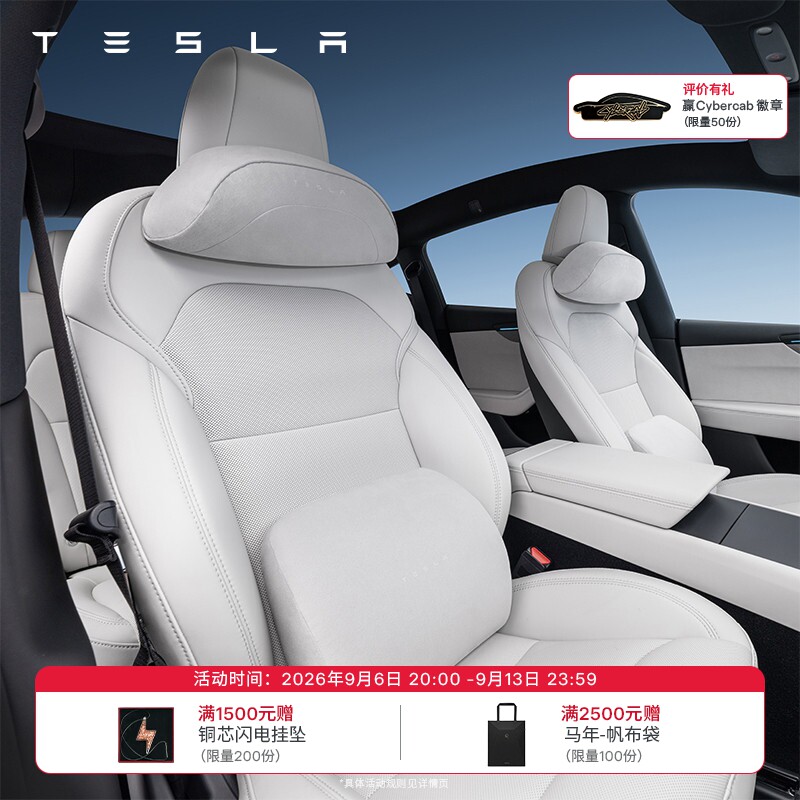 特斯拉（Tesla）官方 Tesla 头枕/腰靠（浅色）图片