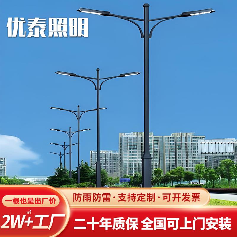 路灯厂家8米led双头路灯市政工程路灯双臂城市照明灯