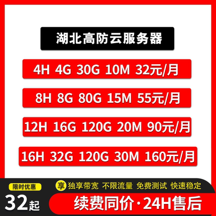 国内高防云服务器租用独享带宽高配网站云服务器主机湖北云主机