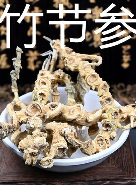 竹节参 中药材竹节人参别称竹节野三七白三七七叶子竹三七非野生