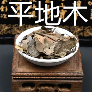 矮地茶 散装500g克平地木中药材 不出林紫金牛叶底珠叶下红少年红