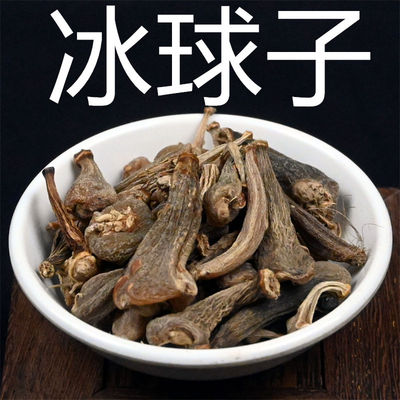 冰球子中药材泥宾茅慈菇山茨菇