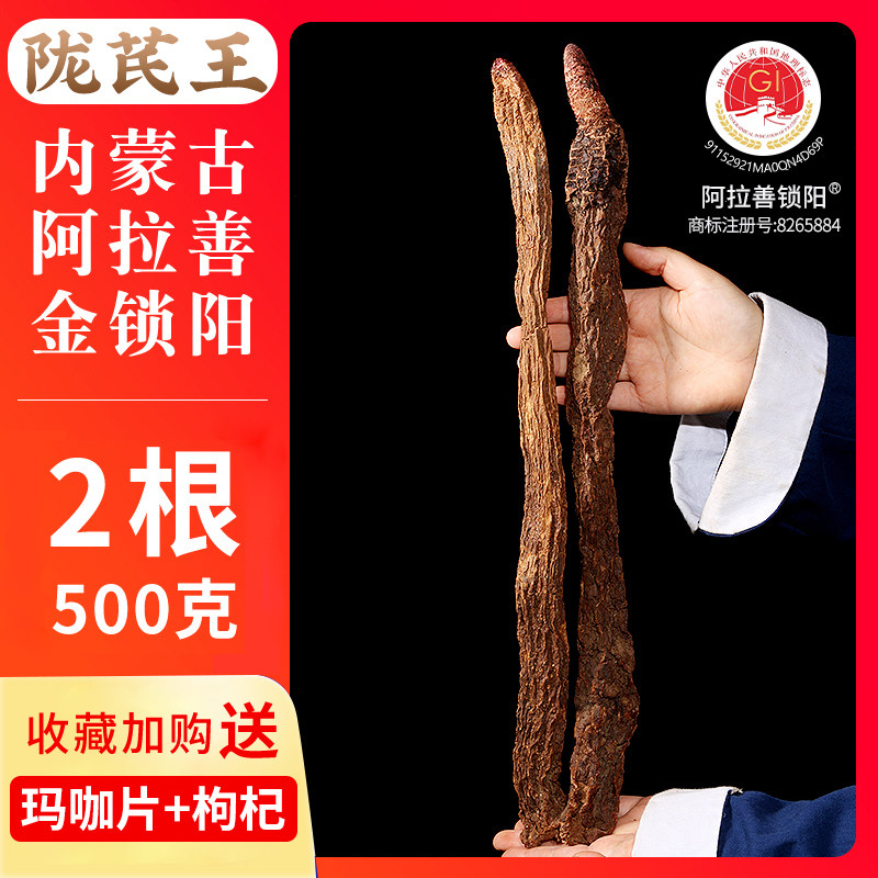陇芪王整根锁阳500g 一斤两根内蒙古阿拉善非锁阳片