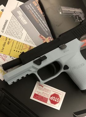 X顽模西格绍尔p250全结构模型网红拼装sig非反吹军事礼品非田宫