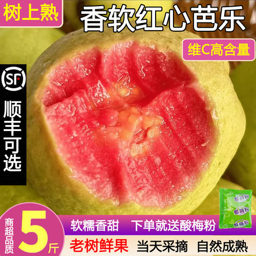 广东红心芭乐5斤新鲜软糯香甜