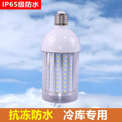LED冷库专用灯IP65防水抗冻220V24V36V低压冷库灯泡冻库防爆照明