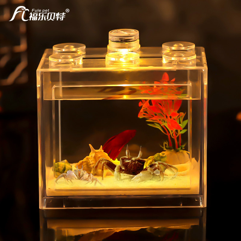 寄居蟹螃蟹缸活物桌面宠物箱鱼缸观赏辣椒蟹迷你豆豆蟹专用饲养盒