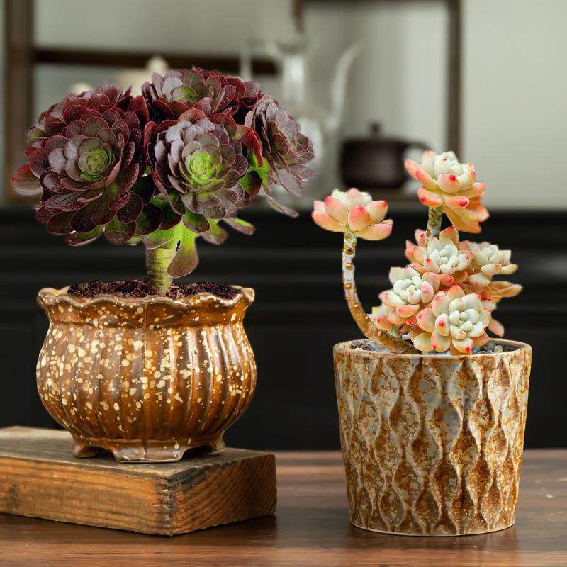 复古简约花盆陶瓷盆多肉植物盆栽红砖色网格纹透气有孔家用小花盆,鲜花速递/花卉仿真/绿植园艺,花盆,淘宝优惠券,粉丝福利购,淘宝优惠卷