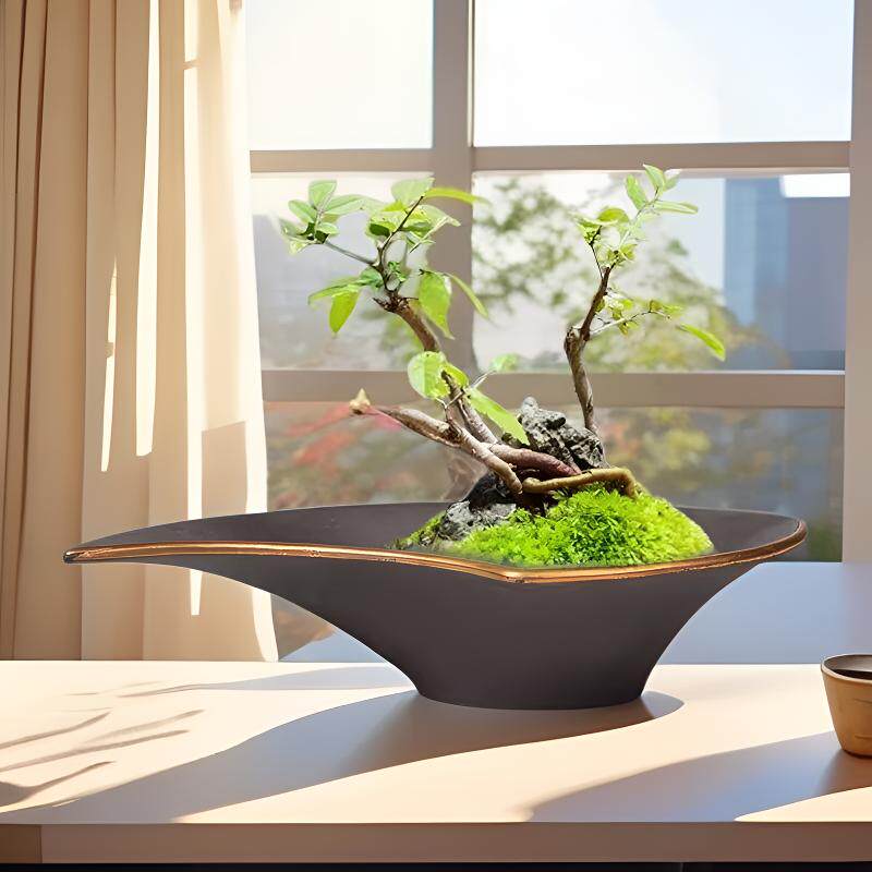 苔藓球巴西木托盘无孔复古创意多肉植物陶瓷花盆底盘紫砂哥窑水培