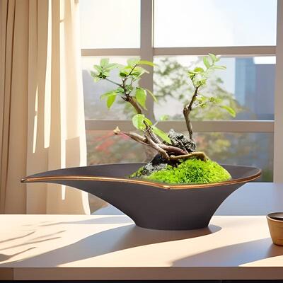 苔藓球巴西木托盘无孔复古创意多肉植物陶瓷花盆底盘紫砂哥窑水培