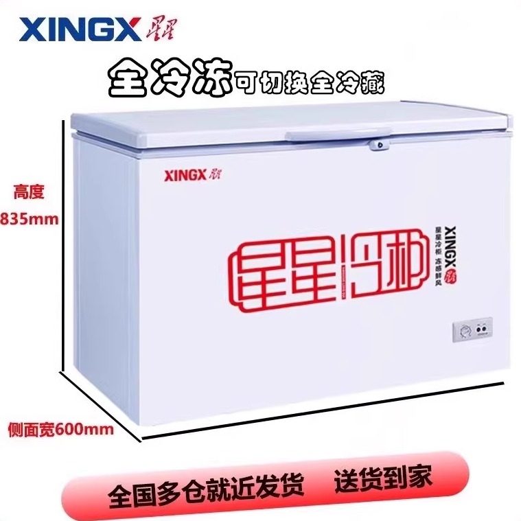 星星BD/BC-210E/305E商用家用卧式大容量冰柜单温单箱顶开柜冷柜