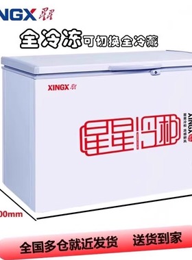 星星BD/BC-210E/305E商用家用卧式大容量冰柜单温单箱顶开柜冷柜