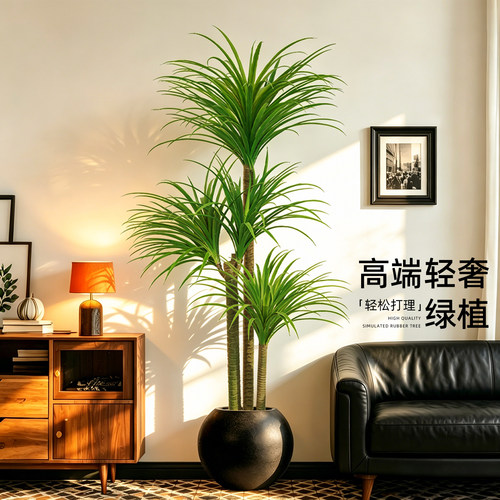 高端轻奢仿真龙血树客厅落地摆件