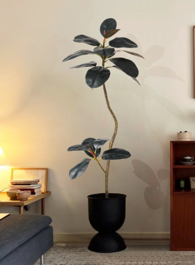 黑金刚橡皮树彷真绿色植物客厅装饰盆栽造型室内大型办公室阳台假
