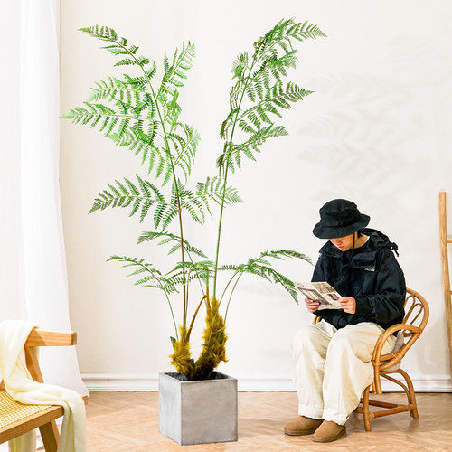 恋柚仿真猴头蕨金丝猴头蕨类植物