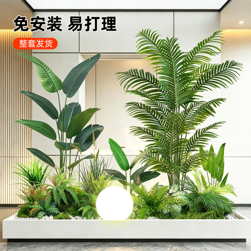 高级感室内仿真散尾葵橱窗摆件