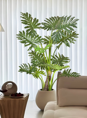 仿真绿植春芋叶室内客厅沙发边落地盆栽摆件装饰高级仿生植物假树