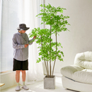 仿真植物南天竹落地盆栽仿生绿植摆件客厅沙发边家居装 饰盆景假树