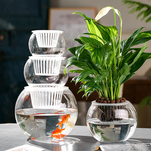 子奕玻璃花瓶水培摆件
