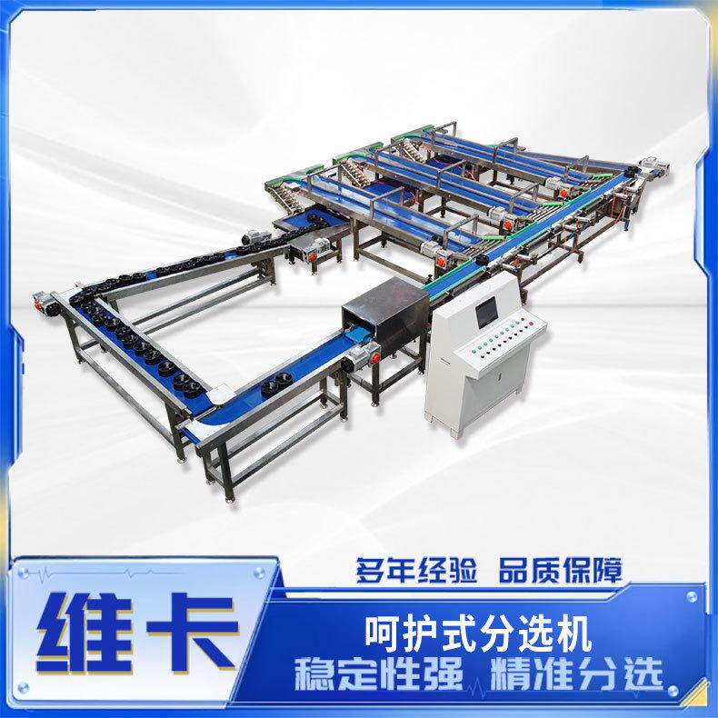 无损呵护式水果分选机 苹果重量选果机 火龙果自动分级机