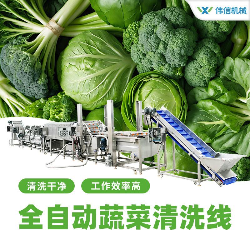 预制菜净菜加工流水线 黄花菜无水新鲜蔬菜火锅净菜加工生产线