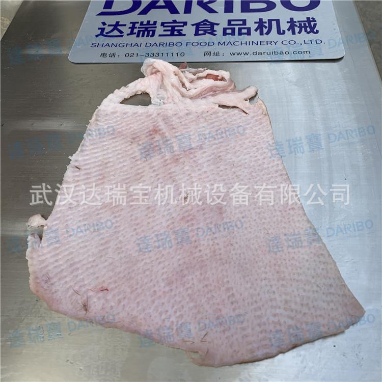 l猪皮冻加工设备 猪五花蹬皮机 带皮卤肉蹬皮机 连续式猪肉扒皮机