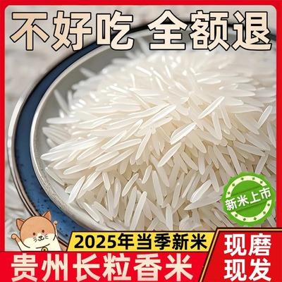 正宗米猫牙长粒香米2025新米五常大米贵州梯田10斤装官方旗舰店