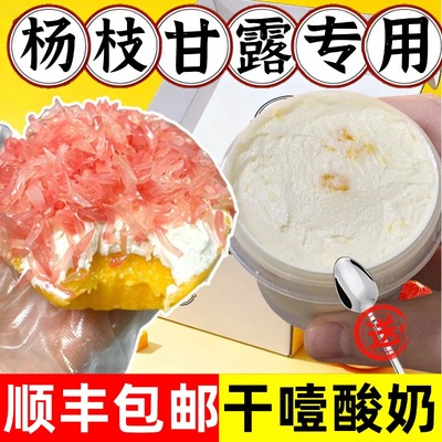 干噎酸奶官方旗舰店网红同款固体杨枝甘露大罐装希腊冷萃干嚼酸奶