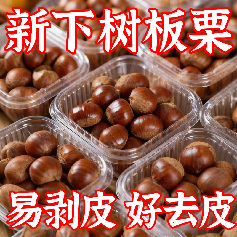 云南油板栗生新鲜批发2025新货