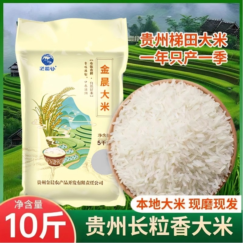 央妈推荐官方旗舰店大米2025年新米贵州梯田长粒香米猫牙米10斤装