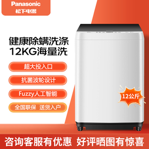 Panasonic/松下XQB120-Q1L1/8QK1/8QM1波轮洗衣机抗菌除螨羽绒洗
