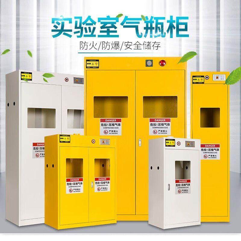 气瓶柜全钢医院氧气瓶储存柜实验室气体氢气煤气乙炔安全防爆柜