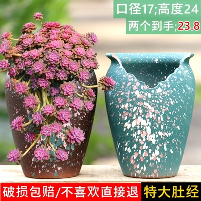 特大多肉花盆粗陶植物月季