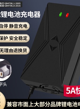 60V铁锂锂电池充电器5A19串69.35伏3A磷酸电瓶8A快充2A专用电动车