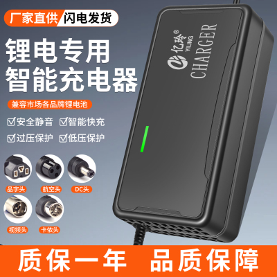亿玲锂电池专用智能充电器灌胶款