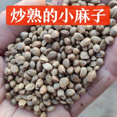 炒熟的小麻子肥氮磷钾肥