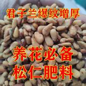 炒熟 松子仁肥料君子兰专用肥腰肥氮磷钾肥兰花用肥各种花卉通用