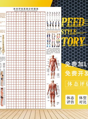 体态评估表身体评估体测表墙纸脊柱侧弯测量图体姿体态分析图壁纸