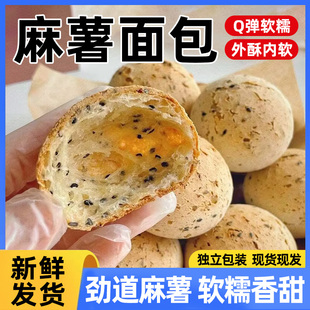 大麻薯面包球35g现做现发网红零食学生早餐健身代餐一整箱批发价