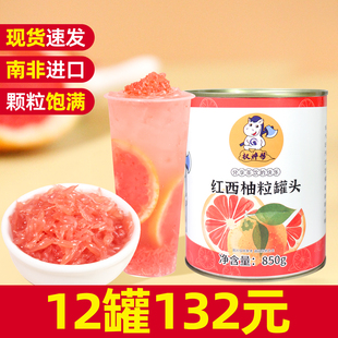高端西柚果粒西柚粒罐头红西柚果粒罐头商用小包装 小瓶红柚颗粒