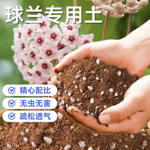 球兰专用花土营养土通用型家用兰花种植土壤无虫害防烂根有机泥土