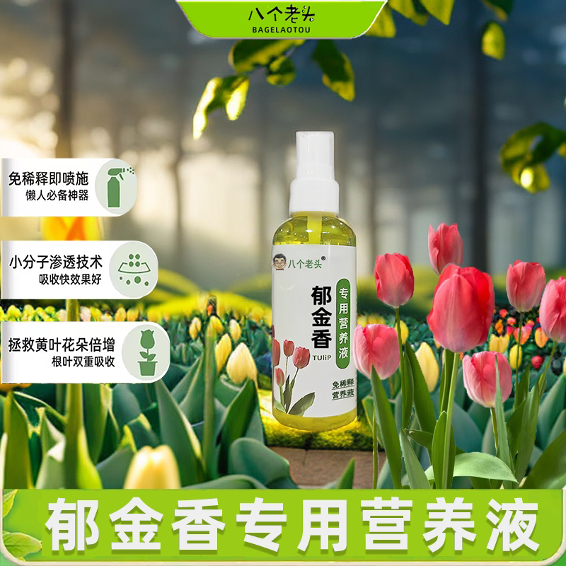 八个老头水培植物营养液富贵竹专用郁金香水仙花室内盆栽通用肥料